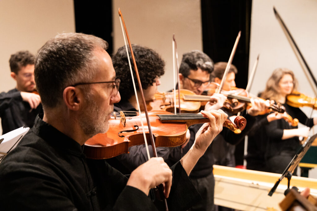 Copia di violini